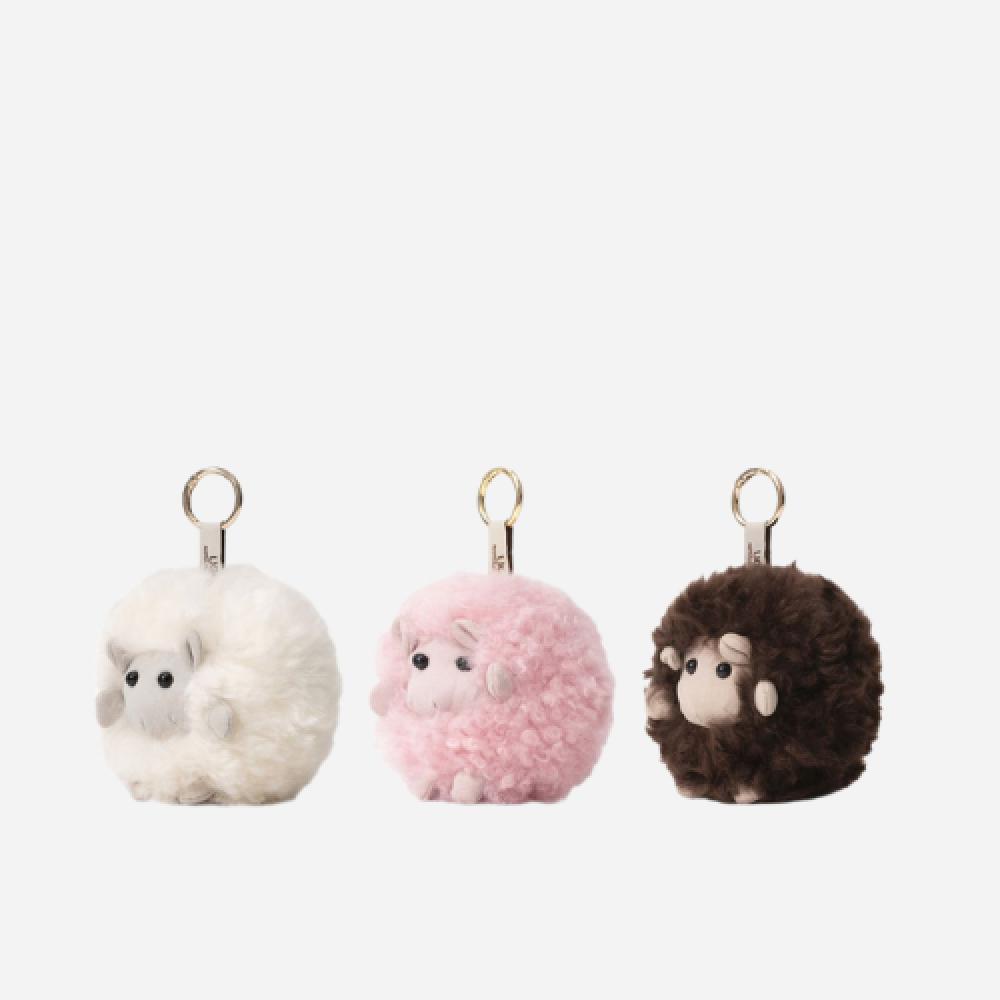 Product 6